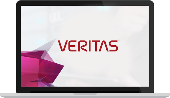 Veritas Partner